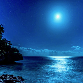 Les Baxter - Carribean Moonlight