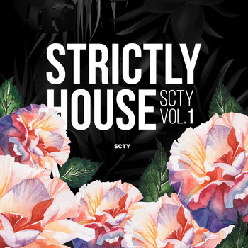 Various Artists - Strictly House SCTY, Vol. 1
