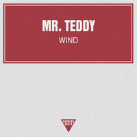 Mr. Teddy - Wind - Single
