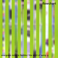 Flowchart - Evergreen Noise Is Flexible/The Spirit Of Kenny G