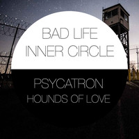 Psycatron - Psycatron Presents Hounds of Love