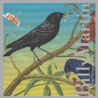 Billy Martin - Starlings