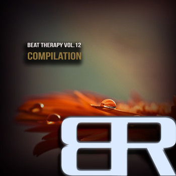 Various Artists - Beat Therapy, Vol. 12 Compilation