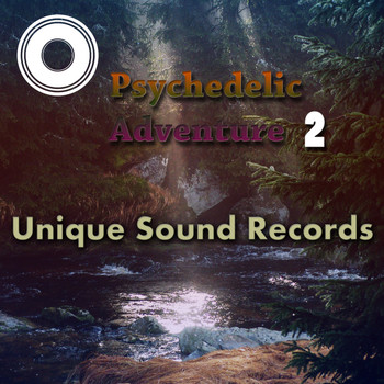 Various Artists - Psychedelic Adventure 2