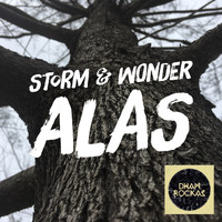 Storm & Wonder - Alas