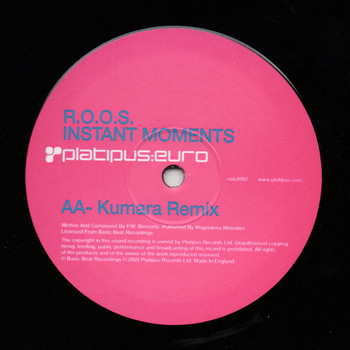 R.O.O.S. - Instant Moments