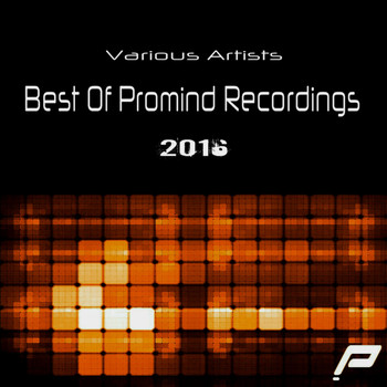 Various Artists - Best Of Promind Recordings 2016