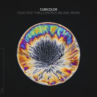Cubicolor - Dead End Thrills (Patrice Bäumel Remix)