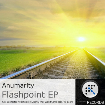 Anumarity - Flashpoint
