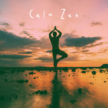 Spiritual Fitness Music, Relax and Musica para Bebes - Calm Zen