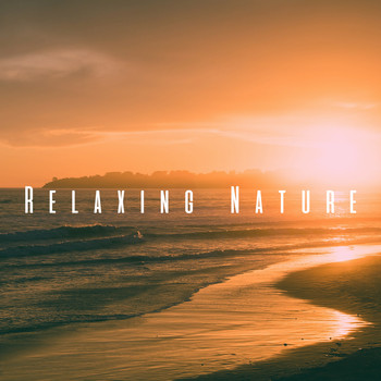 Ocean Waves For Sleep, Ocean Sounds and Ocean Sounds Collection - Relaxing Nature