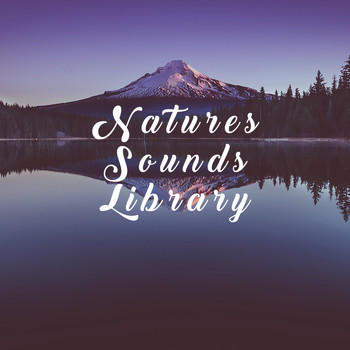 Rain Sounds and Soothing Sounds - Natures Sounds Library
