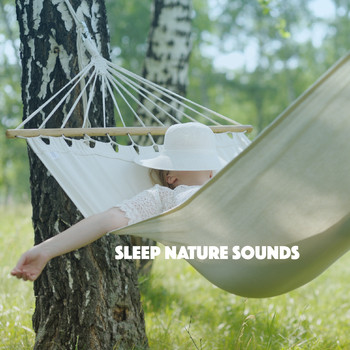 Rain, Ocean Sounds and Rainfall - Sleep Nature Sounds
