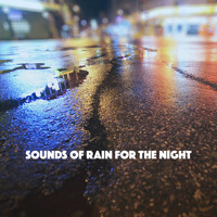 Rain Sounds Nature Collection, Rain Sounds Sleep and Ocean Sounds Collection - Sounds of Rain for the Night
