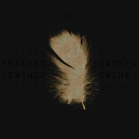 Cole - Feather