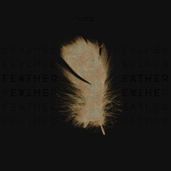 Cole - Feather