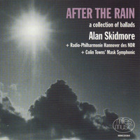 Alan Skidmore - After the Rain