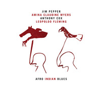 Various  Artists - Afro Indian Blues (Live)
