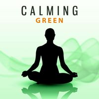 Zen - Calming Green - Time to Relax, Moment for Thoughts, Hold your Breath, Off Thinking