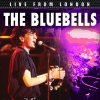 The Bluebells - Live From London