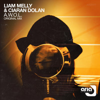 Liam Melly & Ciaran Dolan - A.W.O.L.