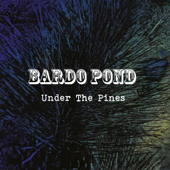 Bardo Pond - Under The Pines