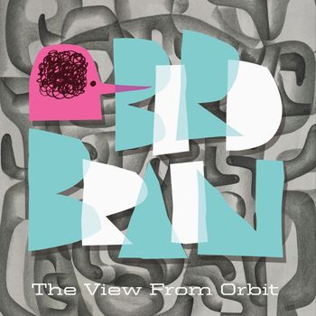 Birdbrain - The View from Orbit