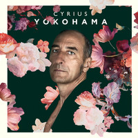 Cyrius - Yokohama