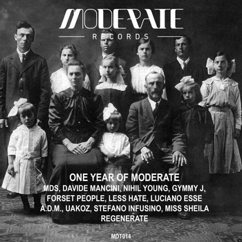 Various Artists - One Year Of Moderate