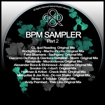 Various Artists - BPM Sampler, Pt. 2