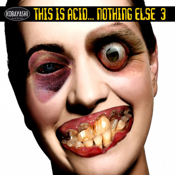 Various Artists - This is Acid... Nothing Else 3