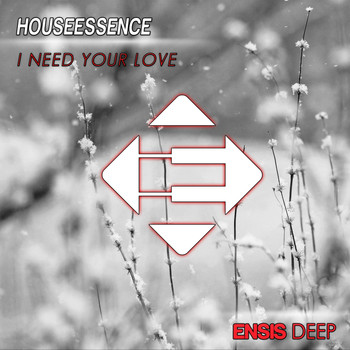 Houseessence - I Need Your Love