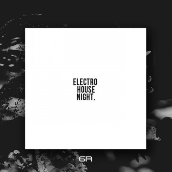 Various Artists - Electro House Night