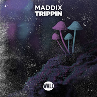 Maddix - Trippin