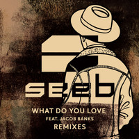 SeeB - What Do You Love (Remixes)
