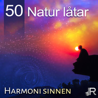 Djup Avslappningsövningar Akademi - 50 Natur låtar: Harmoni sinnen, Välbefinnande, Mjuk musik för stillhet, Håll lugn och slappna av