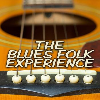 Various Artists - The Blues Folk Experience