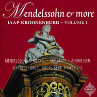 Jaap Kroonenburg - Mendelssohn & more: Volume 1