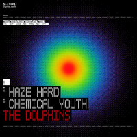 The Dolphins - Haze Hard