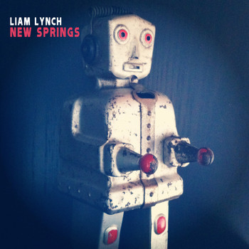 Liam Lynch - New Springs