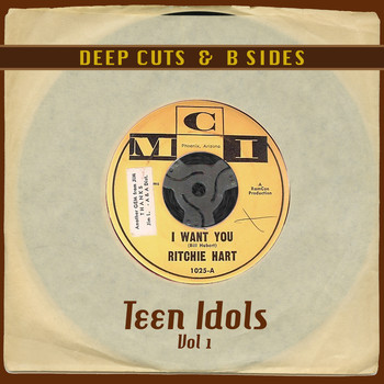 Various Artists - Deep Cuts & B Sides: Teen Idols Vol 1