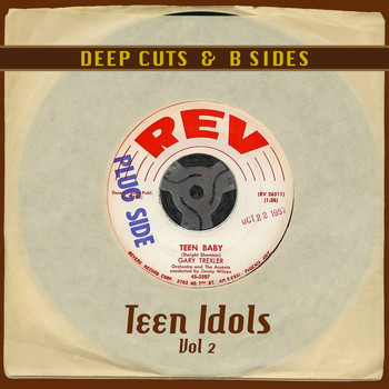 Various Artists - Deep Cuts & B Sides: Teen Idols Vol 2