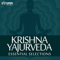 Ved Vrind - Krishna Yajurveda - Essential Selections
