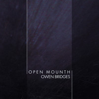 Owen Bridges - Open Mounth