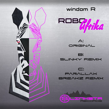 Windom R - RoboAfrika