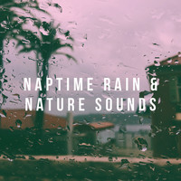 Relaxing Rain Sounds, Rain Sounds Sleep and Nature Sounds for Sleep and Relaxation - Naptime Rain & Nature Sounds