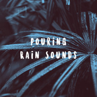 Rain Sounds Nature Collection, White! Noise and Rainfall - Pouring Rain Sounds
