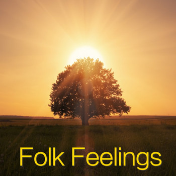 Various Artists - Folk Feelings