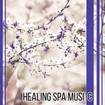 Asian Zen: Spa Music Meditation - Healing Spa Music – Sounds for Relaxation, Wellness, Perfect Massage, Restful Water, Calmness, Deep Sleep, Beauty for Body