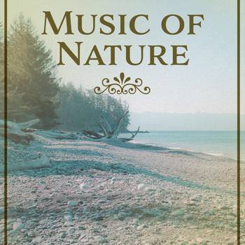 Nature Sounds - Music of Nature – Calming Sounds of Nature, Relaxing Music, Massage, Sleep, Meditation, Relaxed Body & Soul